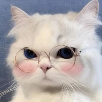 ตาล//เพื่อนนอ.พอ.