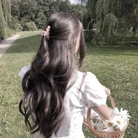 คารีน่า