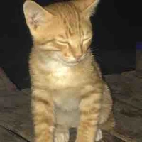 แอดเองค่ะ❤️