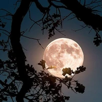 Moon