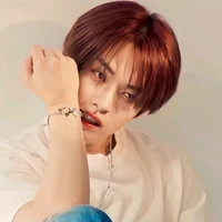 ✧┆Lee Minho