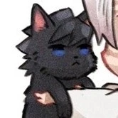 💤tomioka/gato🌊