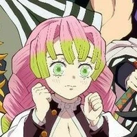 🍥mitsuri🍡