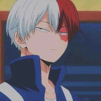 Todoroki✨❄️🔥