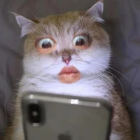 แอดเอง💐