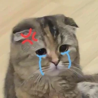 ไรท์เอง