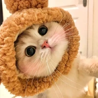โคโค่