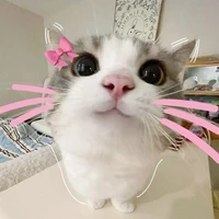 แอดเอง