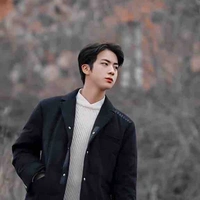 Kim seokjin