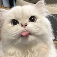 ชิออน