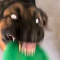 แอดเอง อิอิ