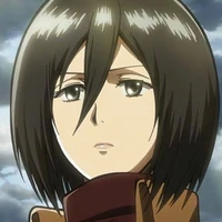 Mikasa