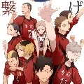 Nekoma VBC team