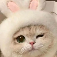 เฟญ่า(ร่างแมว)