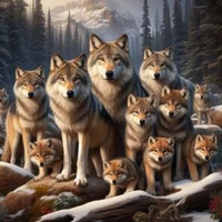 la meute de loups