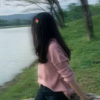shyni ( author)