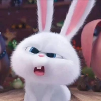 แอดเป็นทุกอย่าง