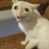 แอดกินอึ่ง😑