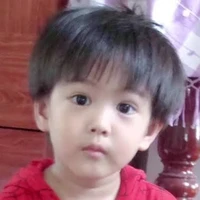 ปิ่น