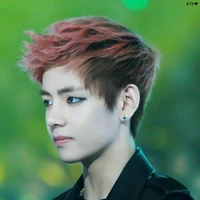 taehyung (13)