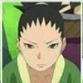 shikadai nara