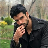 Aditya Shen