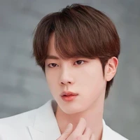 Seokjin (O.P)