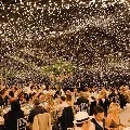 crowd