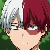 Shoto Todoroki