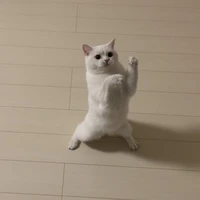 ตัวประกอบ🆘🆘