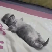 อย่างสีเหลือง!!