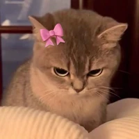 luckylukidubey10