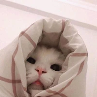 เเอดเอง❤️