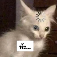 ไรท์คนที่เบียวๆอะ