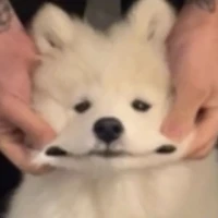 ไรท์เต๋อ