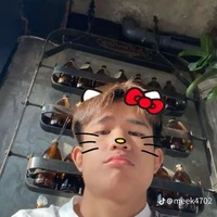 ชิน