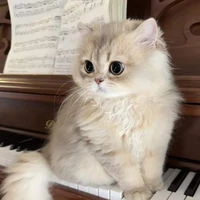 เดซี่(ร่างเเมว)