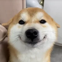 S.K. 