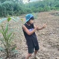 ตู๊นตูน