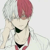 Shoto Todoroki