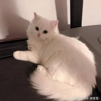 ยูคิ