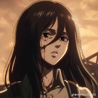 mikasa