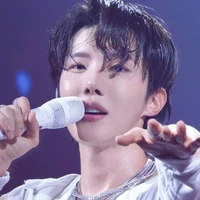 kim Hoseok ( singer / Idol )