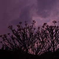 นักเขียนเอง