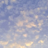 เอดเอง