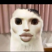 anomali