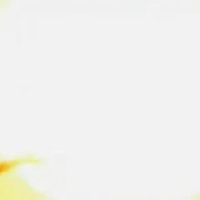 someone