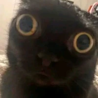 เเอด