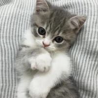 ไรท๋เองง