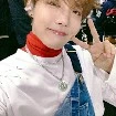 Hobi
